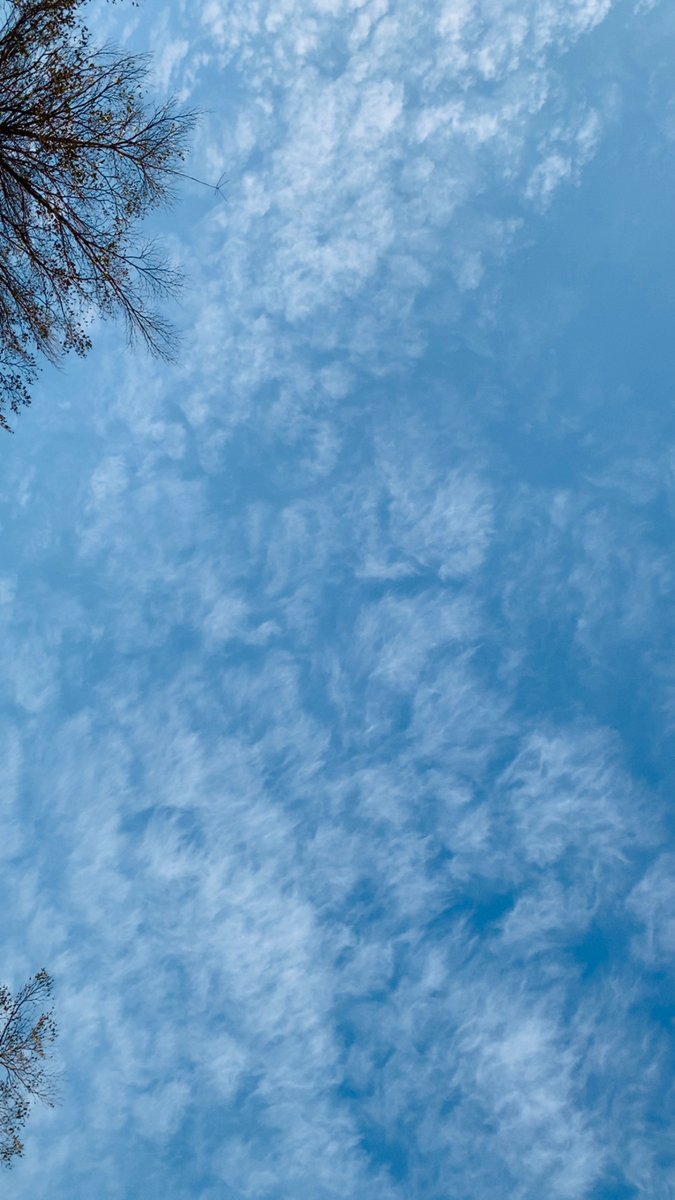 sana_90s's tweet photo. #CirrusClouds in the sky
Nature’s brush strokes
#Gujranwala https://t.co/Kjw6M8bY9K