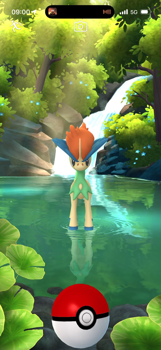 ✨SteBull✨ tweet media