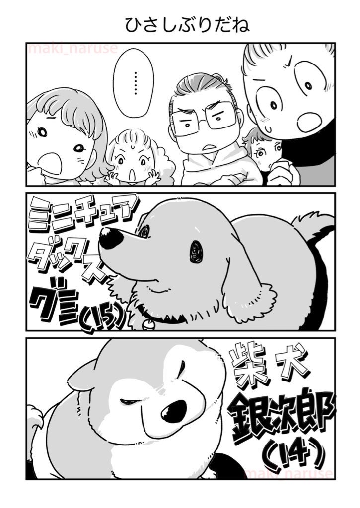 【再掲】「ひさしぶりだね」(1/2)
若い頃は仲の良かった2匹ですが、グミの病気を発端に離れ離れになりました。
ひさしぶりに再会したふたりはもうお互いの事はよくわからなくなっていたのですが、再び一緒に過ごすことができるようになり私たちは驚きと感動でいっぱいでした。