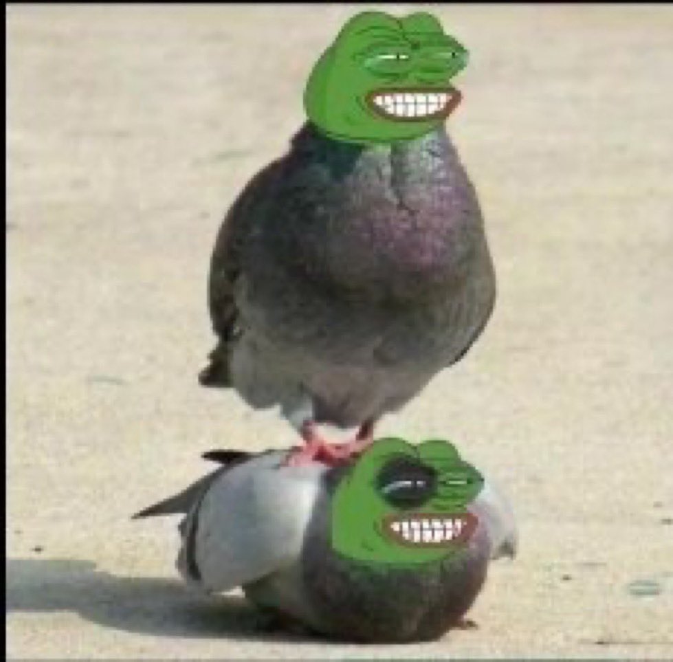 Kruzz⛩️ tweet media