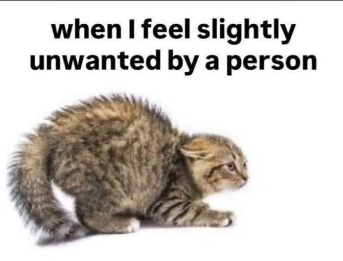 ADHD Memes (@adhdforreal) on Twitter photo 