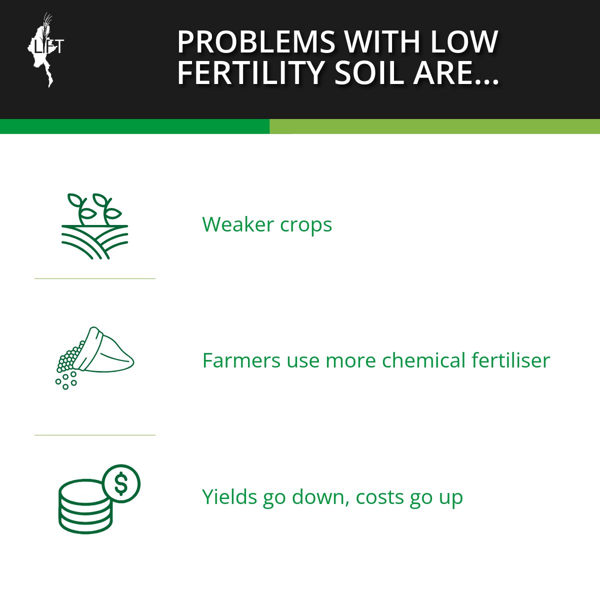 The LIFT Fund tweet media