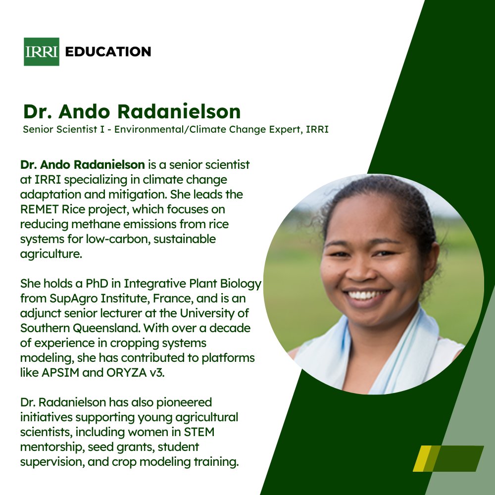 IRRI Education tweet media