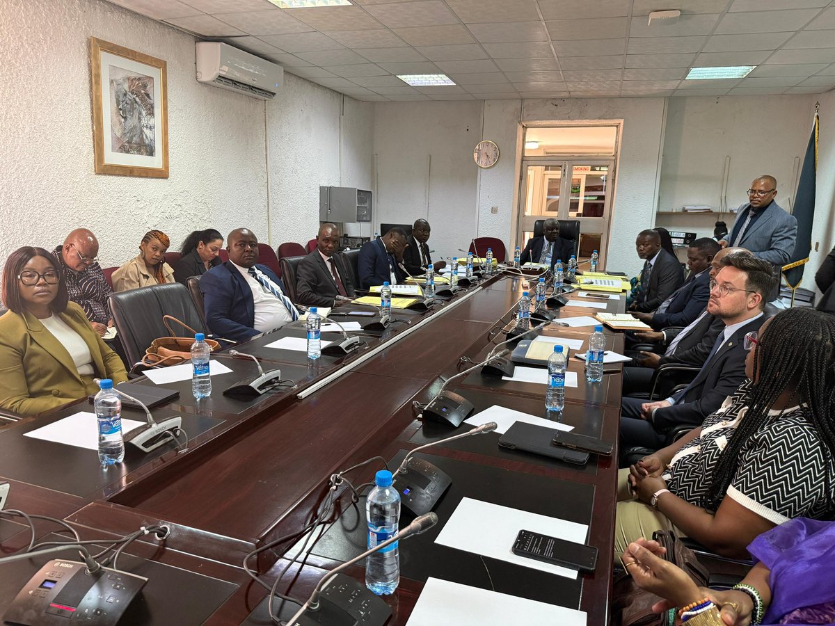 EconoCluster's tweet photo. PC IR&amp;Co at the National Assembly of Zambia on oversight.  Bilateral focus on Economic Diplomacy to address unemployment, and attract foreign direct investment to create a better South Africa, Africa and a better world. https://t.co/DXnvG7Mdfv