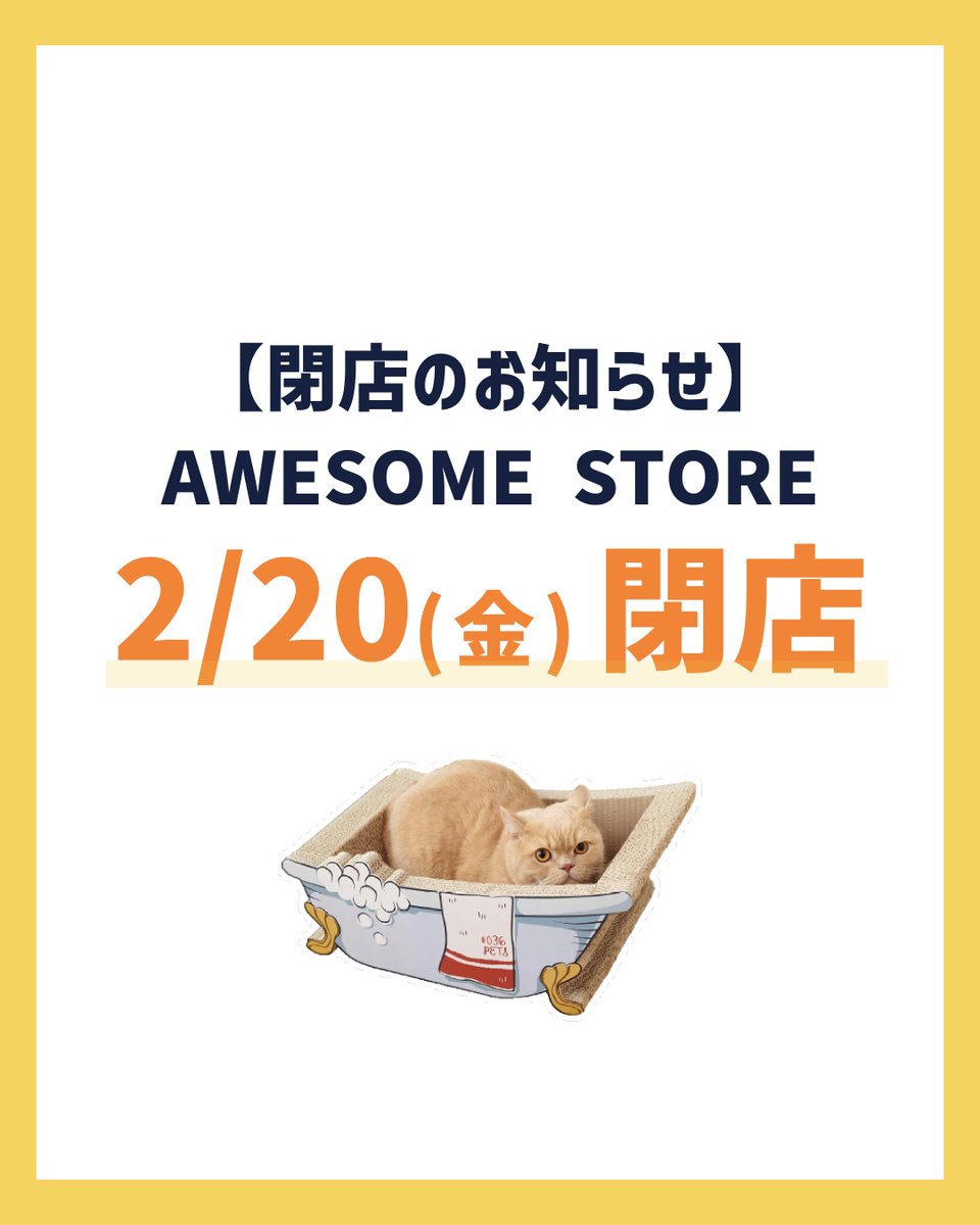 もっつぃ🌳 (@mochisw) / Posts / X