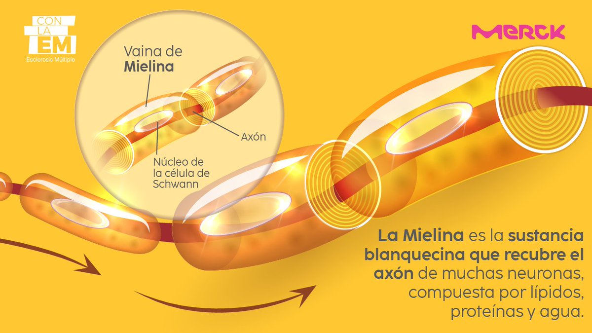 Con la EM tweet media