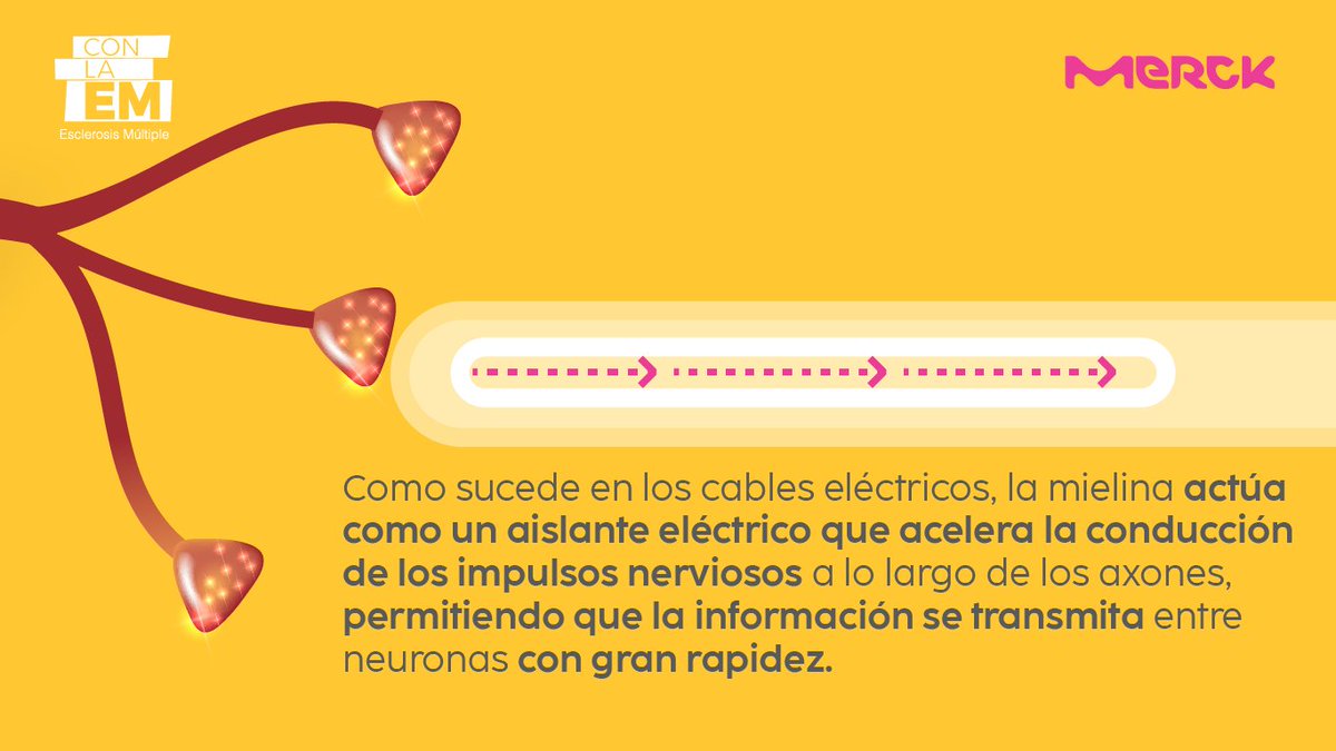 Con la EM tweet media