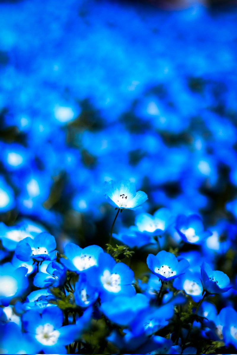 空に青。 tweet media