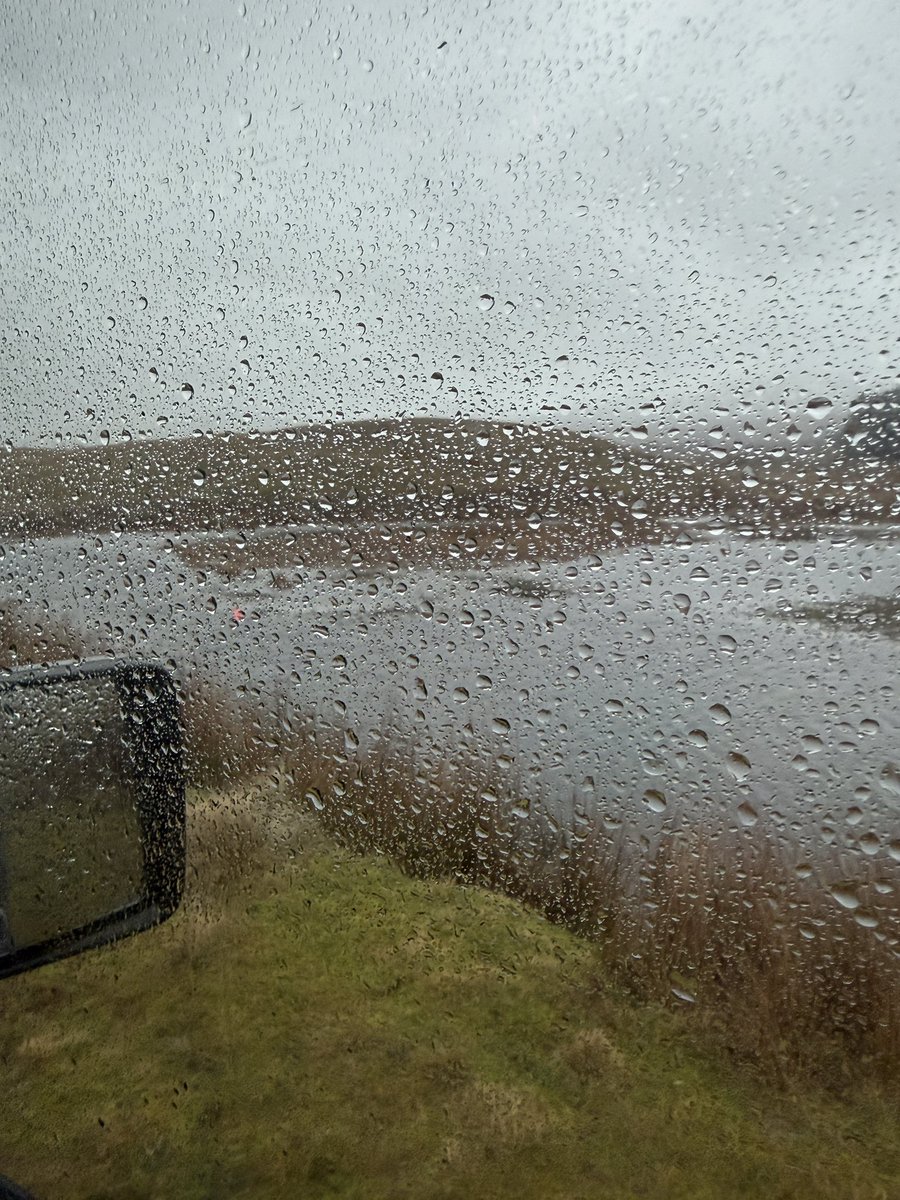 Dee Ward tweet media