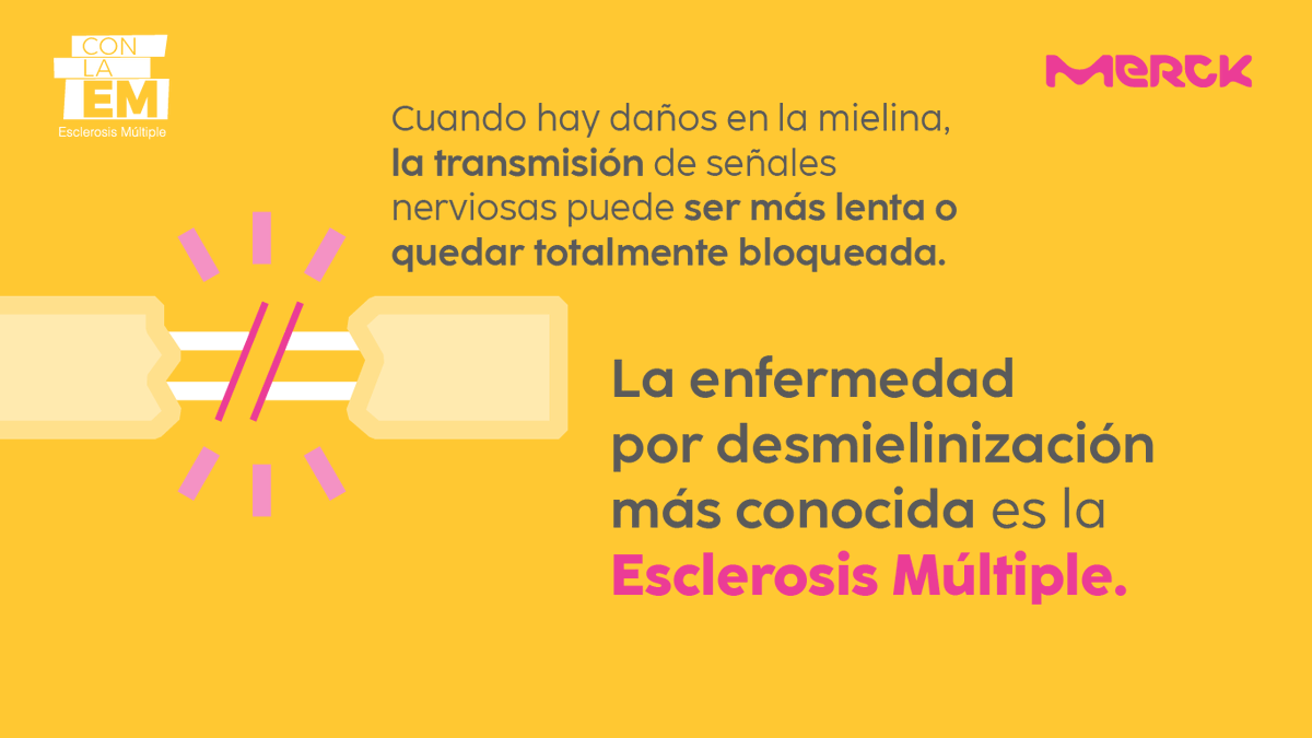 Con la EM tweet media