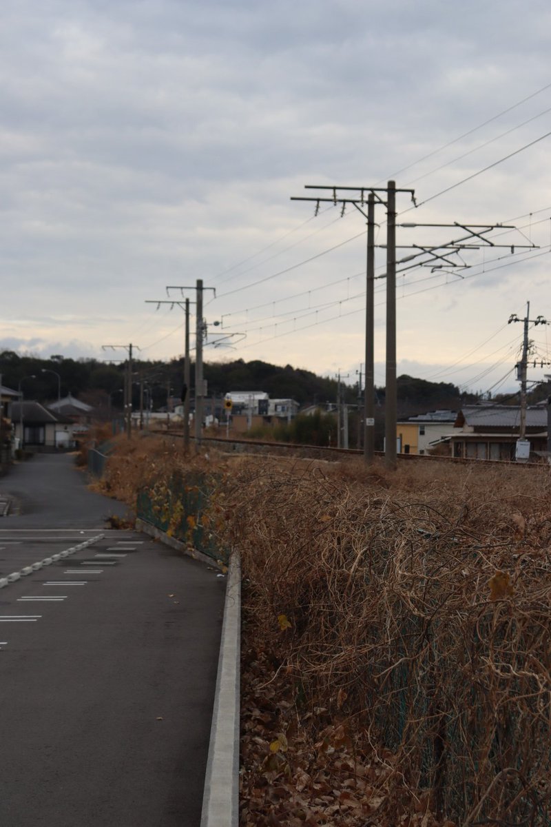 jikko680687's tweet photo. 【今日の787系Vol.4】2026/2/5(Thu)
5004M特急にちりん4号 宮崎空港6:43発 大分行き(大分10:07着)
787系 BM13編成(本ミフ)
#787系 #BM13 #南福岡車両区 #日豊本線 #大在駅 #坂ノ市駅 https://t.co/B8HUUKoDwv