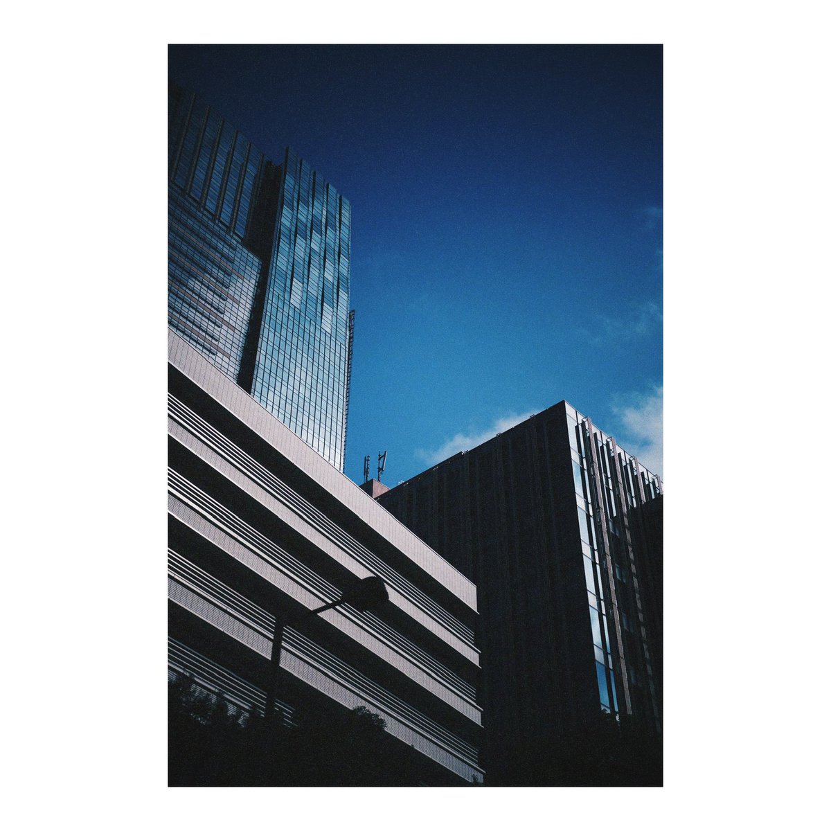 どんぐり (@dongri1620) / Posts / X