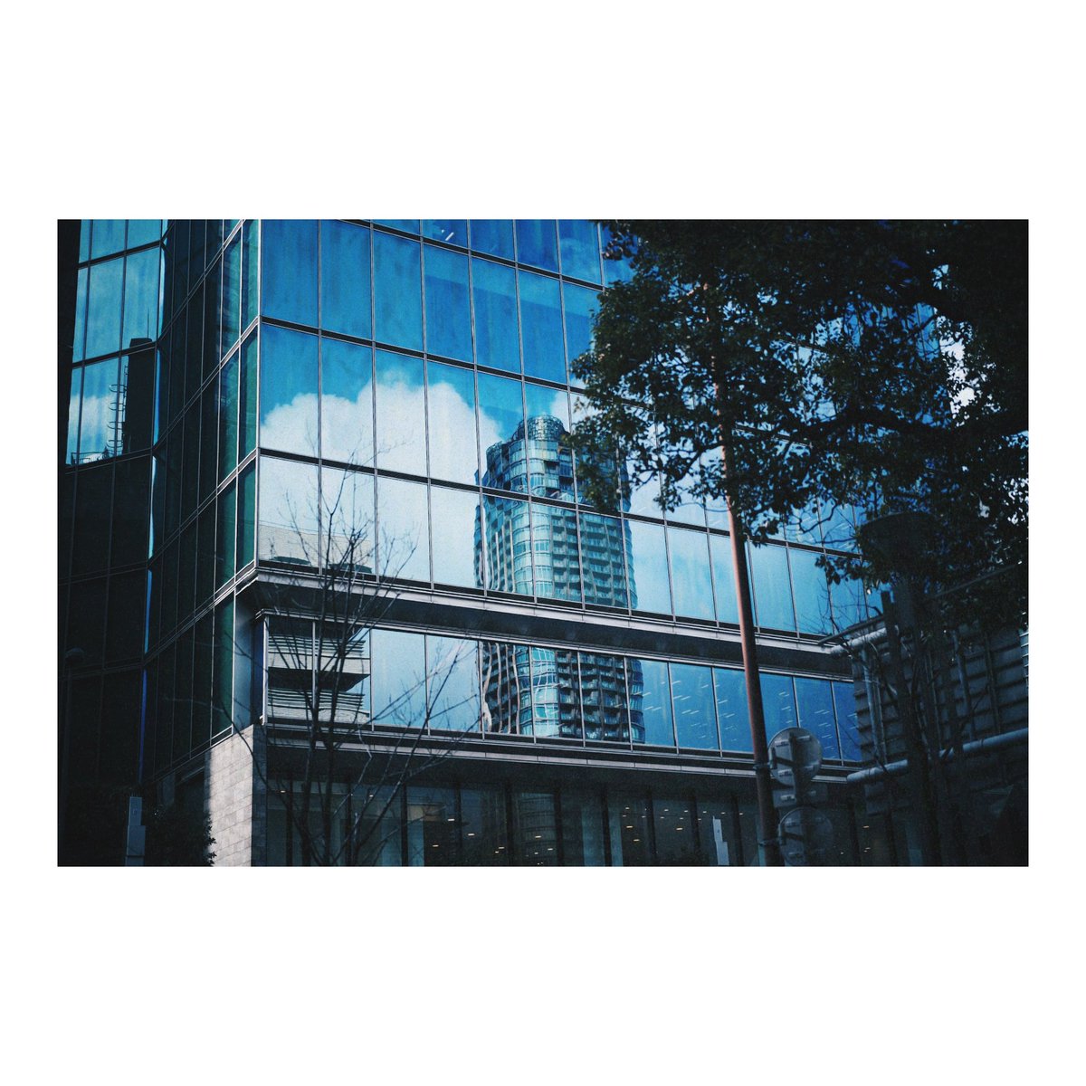 どんぐり (@dongri1620) / Posts / X