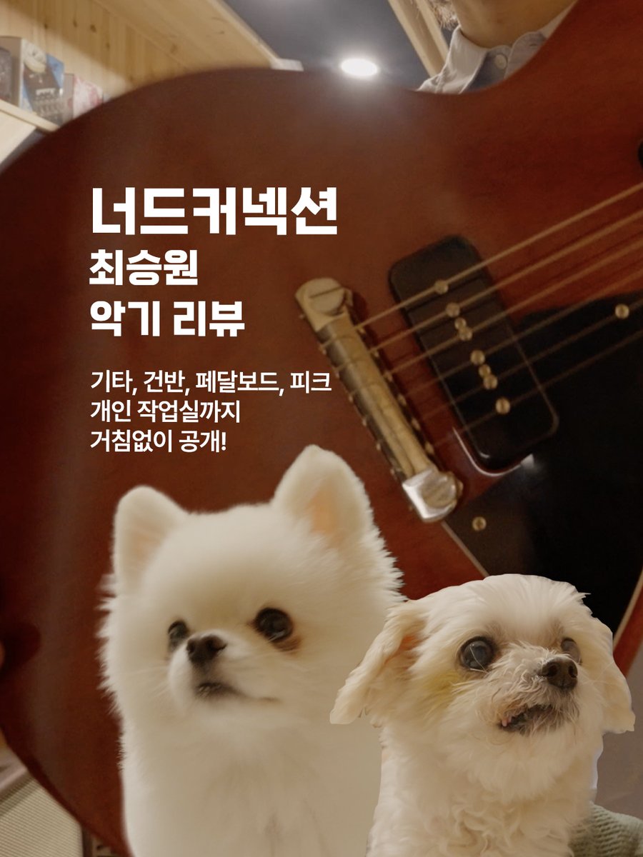 NERD CONNECTION official GALLERY tweet media