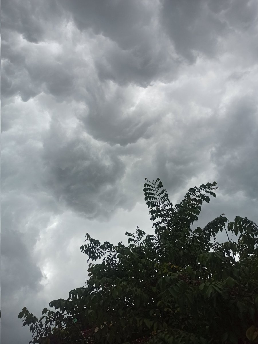 nuutification's tweet image. alamakkk