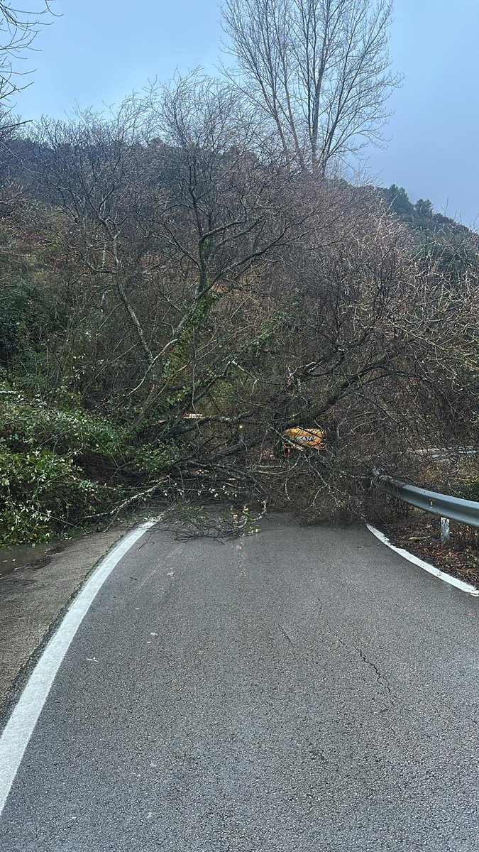 antoniosanz's tweet photo. 📌#Balance  
En la madrugada y primeras horas de hoy jueves se han gestionado 187 incidencias a causa de #BorrascaLeornardo en toda #Andalucía 

Por provincias: Jaén (52), Granada (44), Córdoba 25), Cádiz (19), Sevilla (18), Málaga (16), Huelva (10) y Almería (3)

➕Andalucía acumula ya 7.454 #emergencias 🚨coordinadas desde el inicio de las borrascas el pasado día 27 de enero.