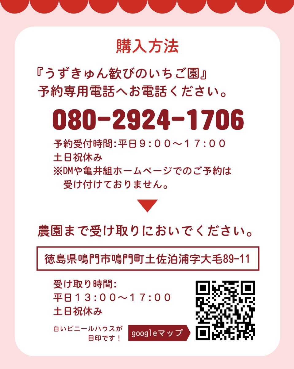 hanakamekun's tweet photo. おいしいと大好評のいちごを
どなたでもお買い求めいただけます🍓✨

🍓うずきゅん歓びのいちご園🍓まで
お電話でご予約の上ご来園ください
📞ご予約電話番号　080-2924-1706

⏰電話受付：平日 9:00〜17:00
⏰受取時間：平日 13:00〜17:00
📅定休日：土日祝
※DM、コメントでの予約不可 https://t.co/jkhWYsj8Rv