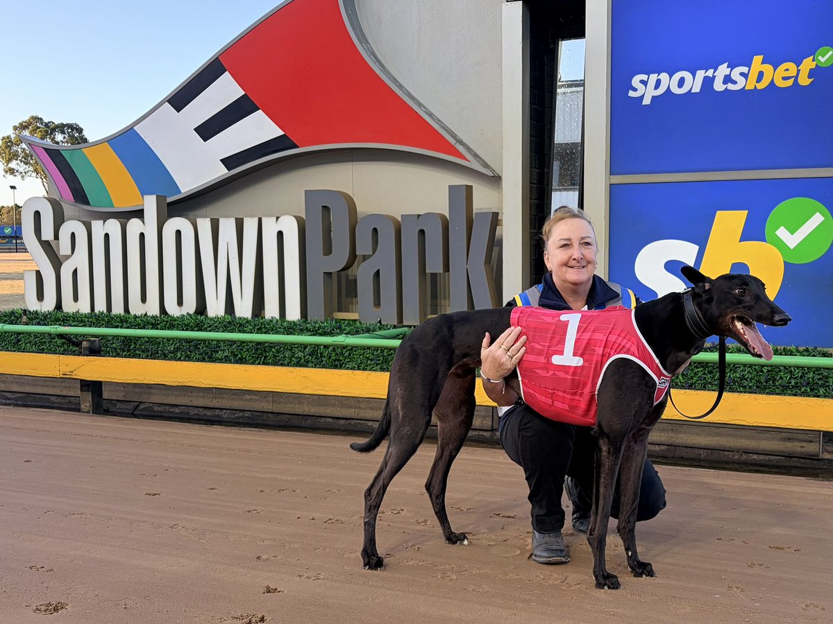 Sandown Greyhounds tweet media