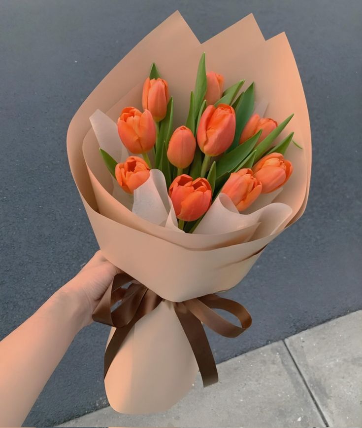 Tulips Library (@tulipslibrary) on Twitter photo 