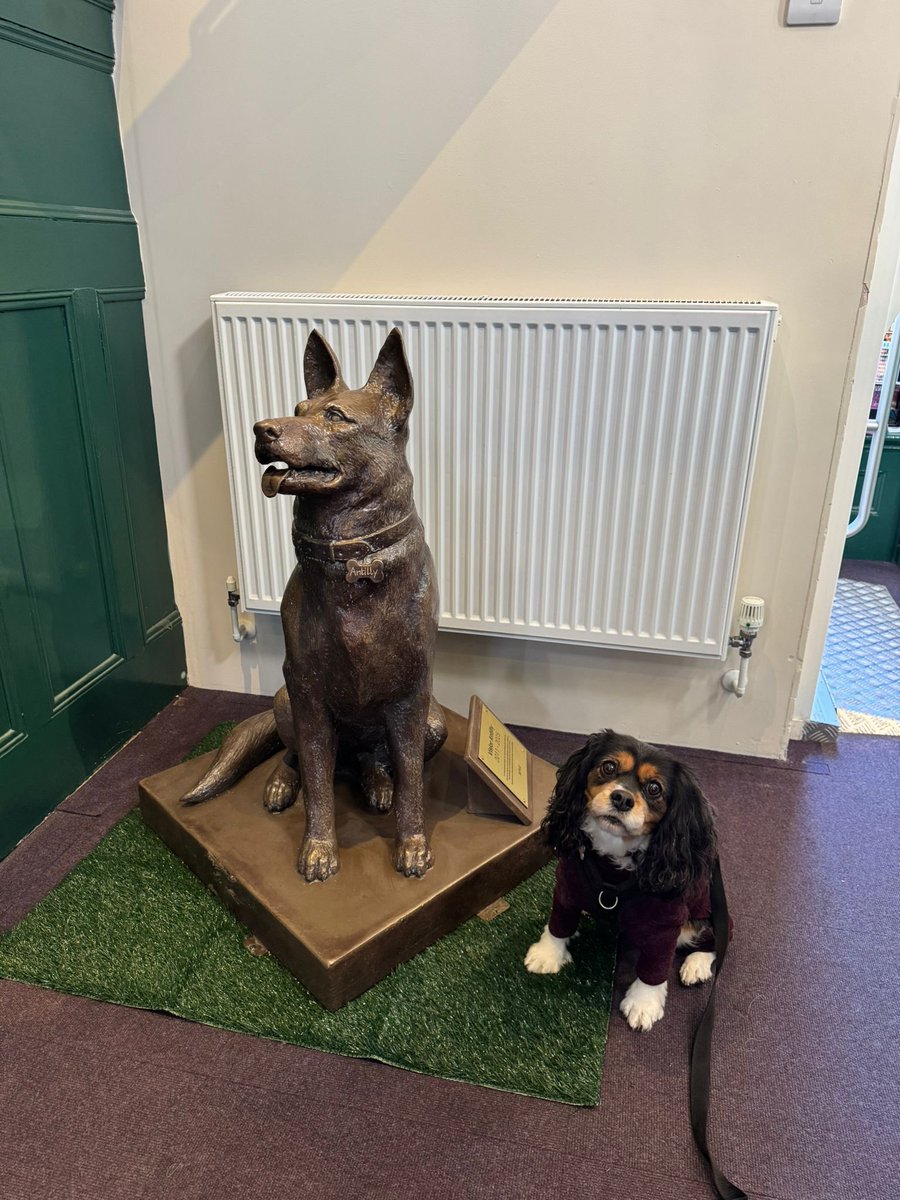 Toby & Harper tweet media