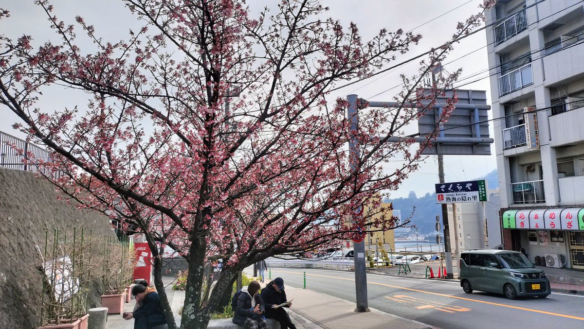 KawaiKazz's tweet photo. 今日は神奈川へ。
途中の熱海で散歩。
なんと駅前のパーキングで黒のプリウス（またか）が事故ってレスキューに助け出されてたところに遭遇！

　やはり外国語が飛び交っています☺️ https://t.co/pGXf0O0nX2