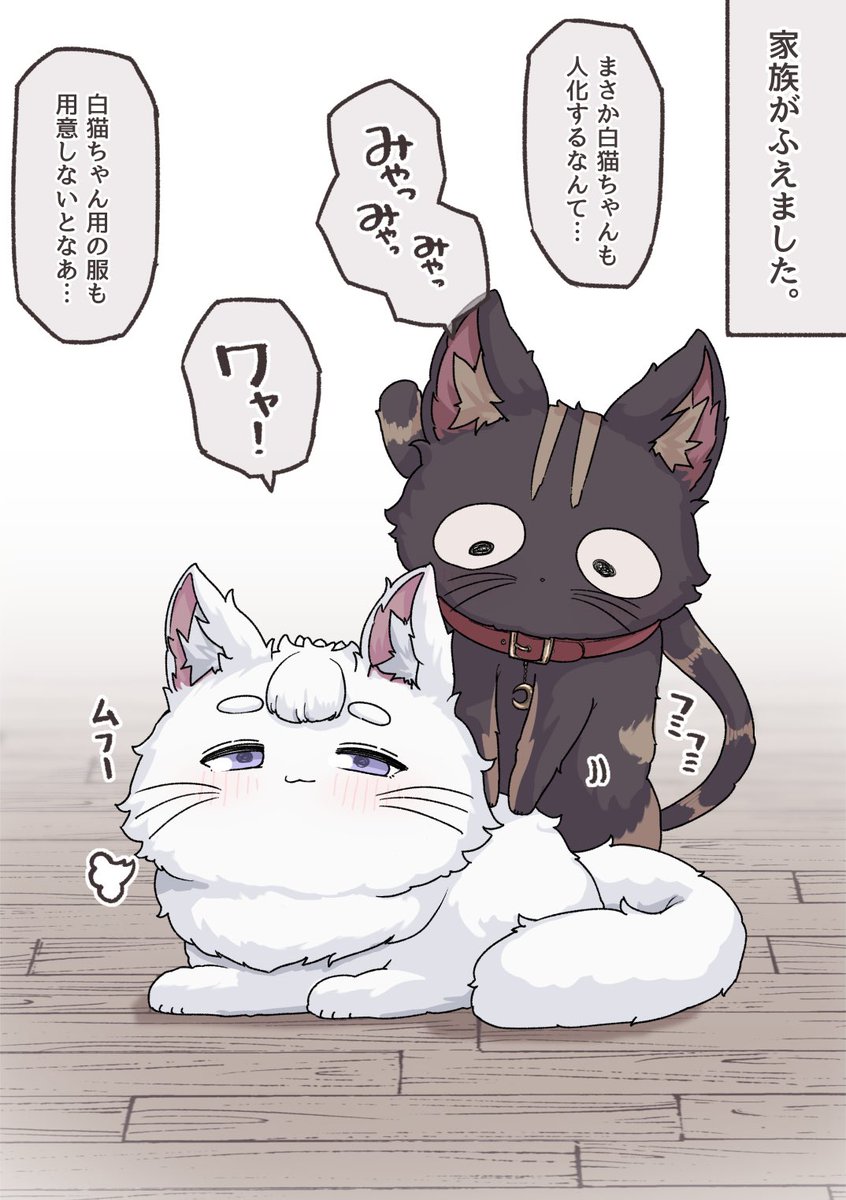 黒猫ちゃんと白猫ちゃん、ご主人はどっち派?? 