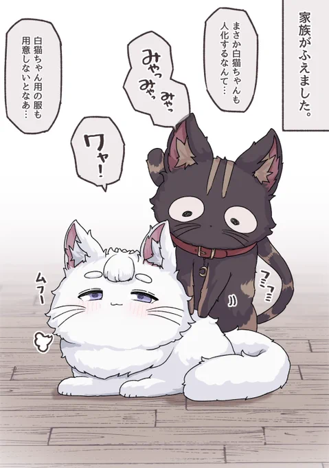 黒猫ちゃんと白猫ちゃん、ご主人はどっち派?? 