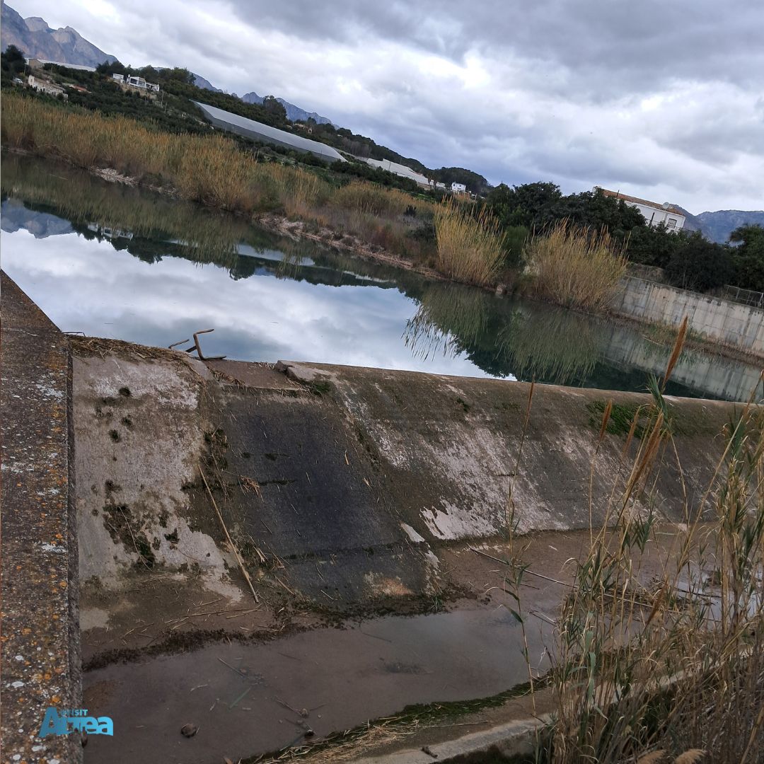 VisitAltea tweet media