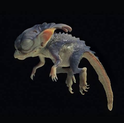 chappell’s cutesy creatures: pink pony and shigella