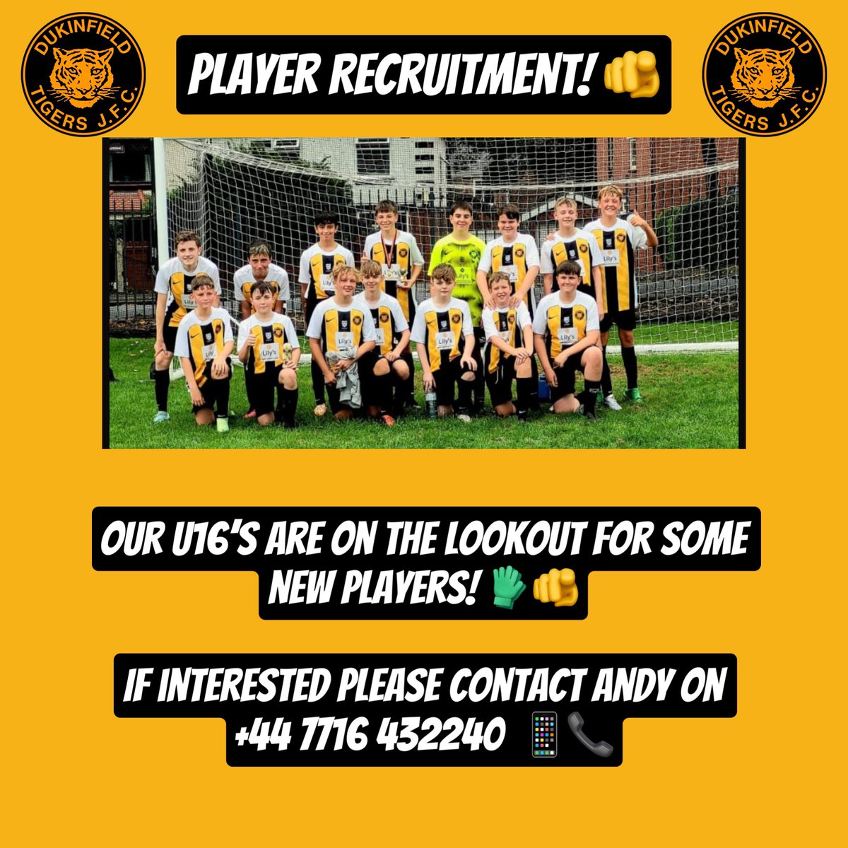 Dukinfield TigersJFC tweet media