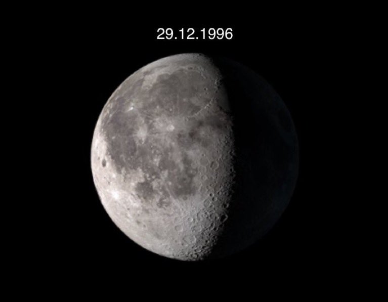 waxie! theoretical lesbian tweet media