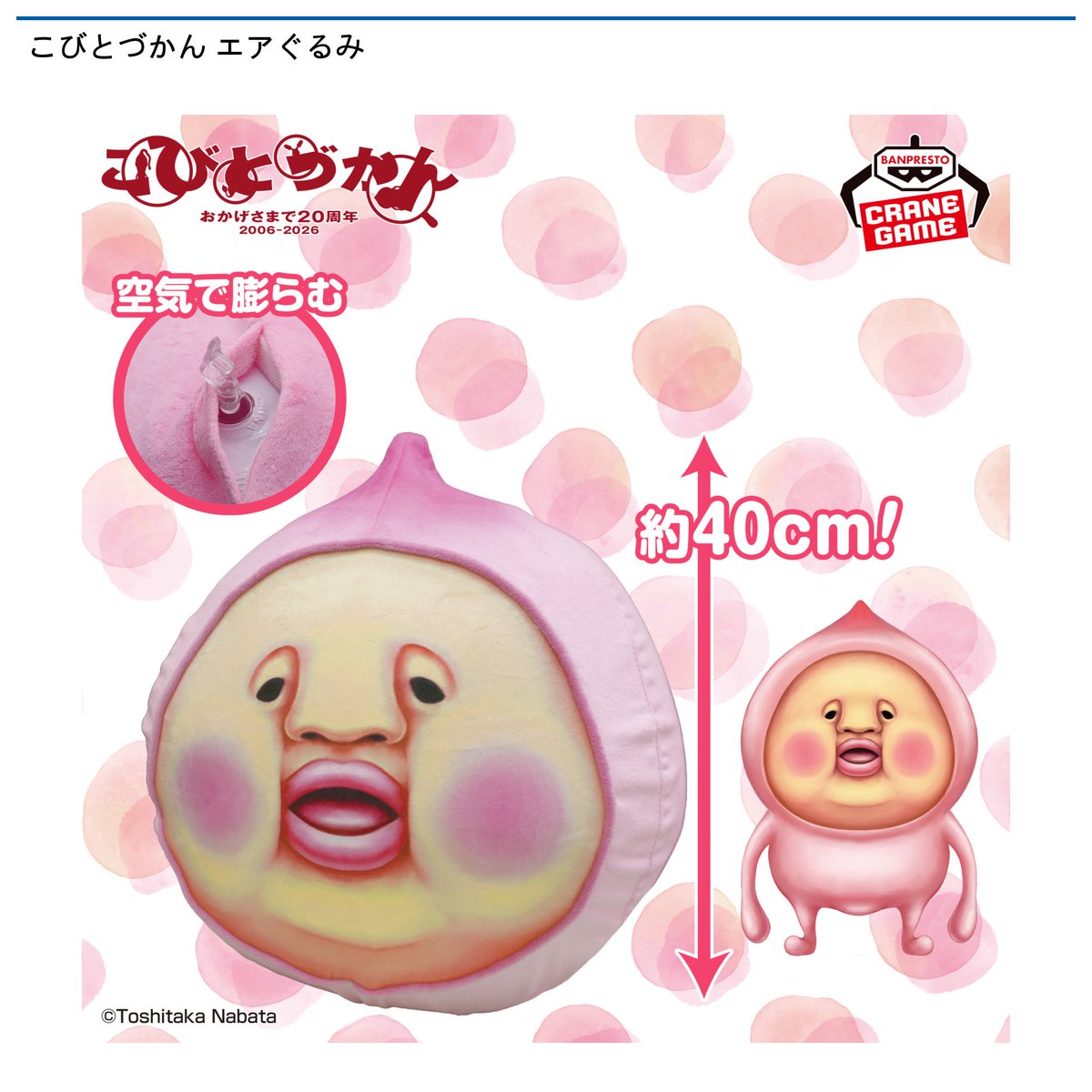 カクレモモジリ