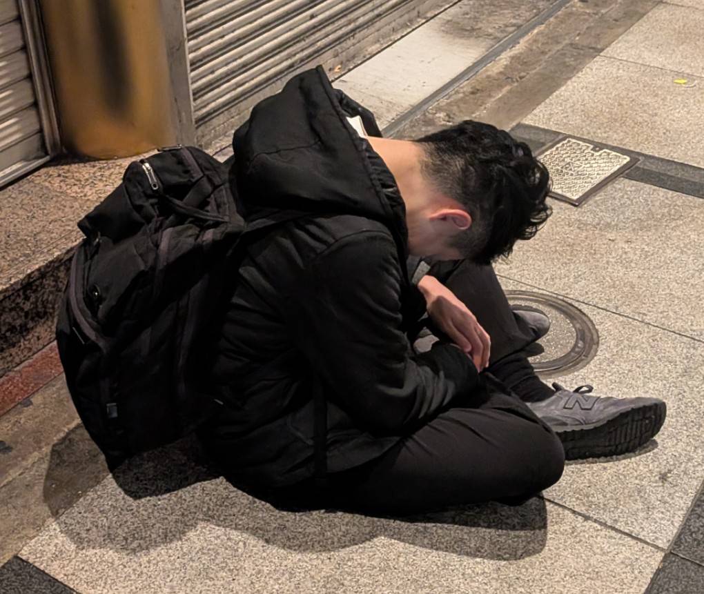 さらしな姫 tweet media