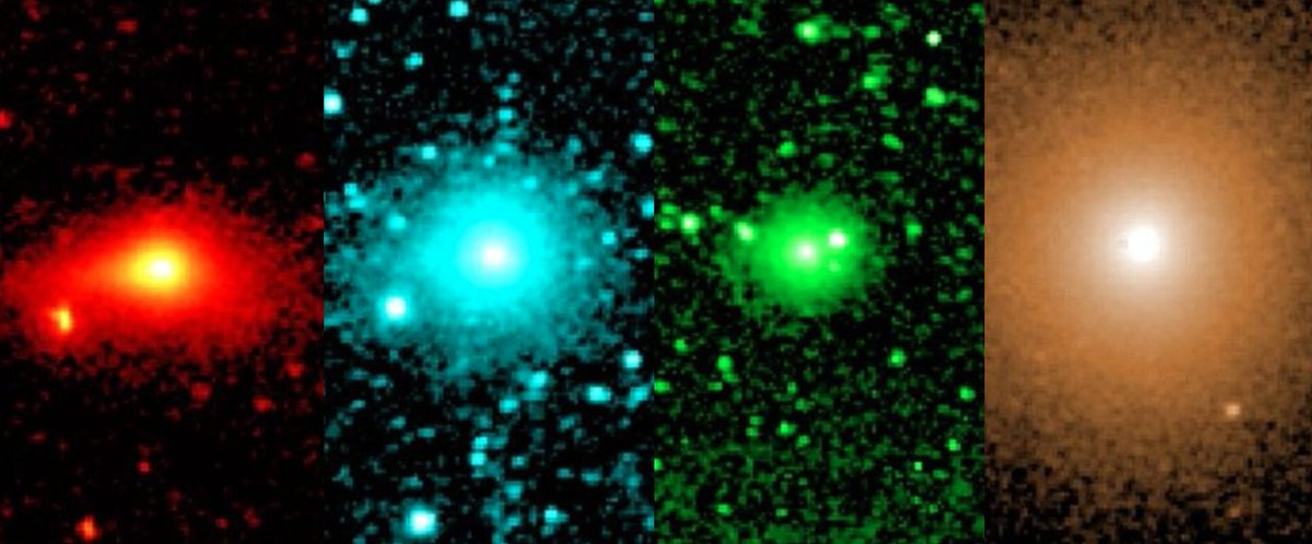 AstrospaceI's tweet photo. Il telescopio spaziale #SPHEREx della @NASA, che osserva il cielo in 102 diverse bande spettrali dell'#infrarosso, ha osservato la #cometa interstellare #3IATLAS e permesso di studiarne la composizione chimica e l'aumento di luminosità dopo il perielio.

https://t.co/F7jtKDzWMx https://t.co/eAbd0UgKjs