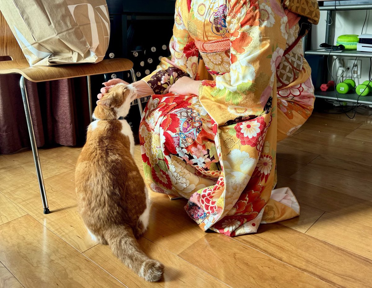 MINT (@mintperopero) / Posts / X