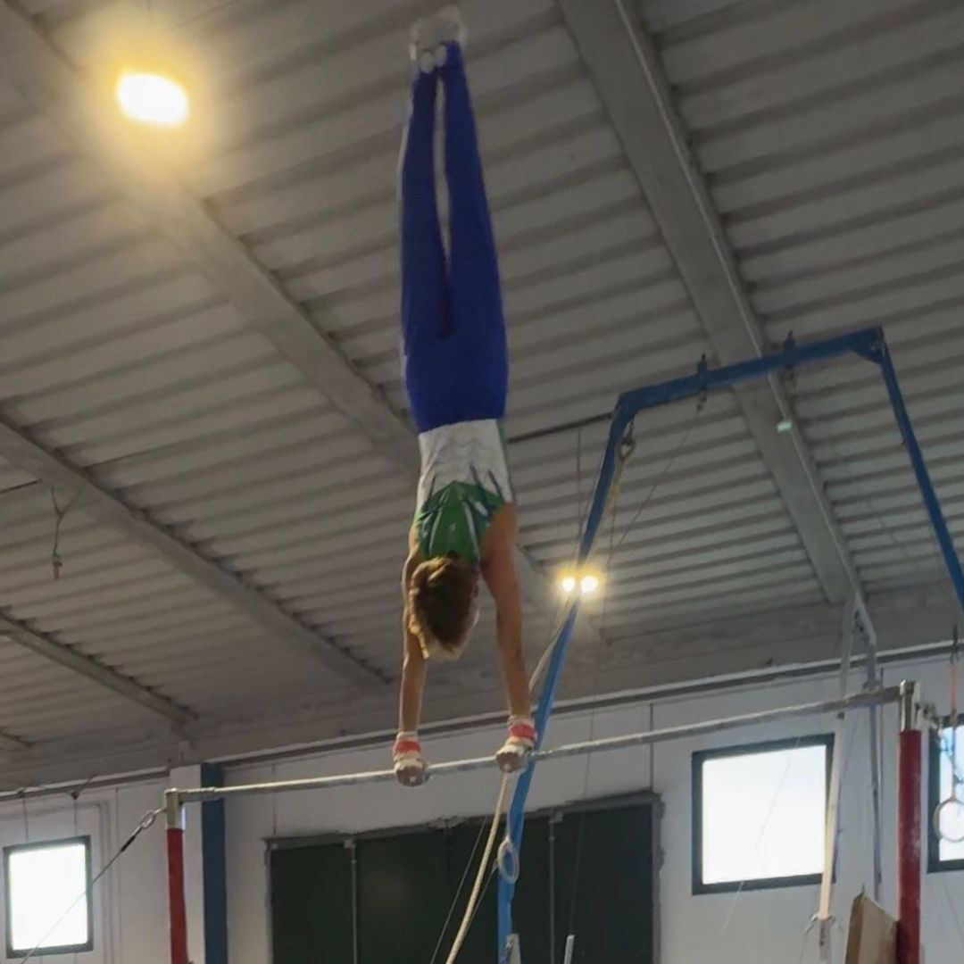 RIS Rome International School tweet media