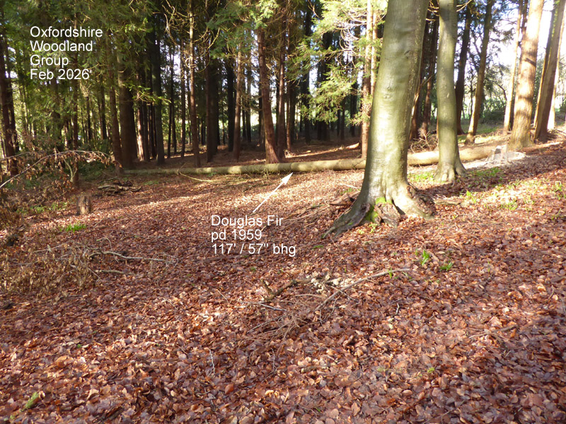 Oxfordshire Woodland Group tweet media