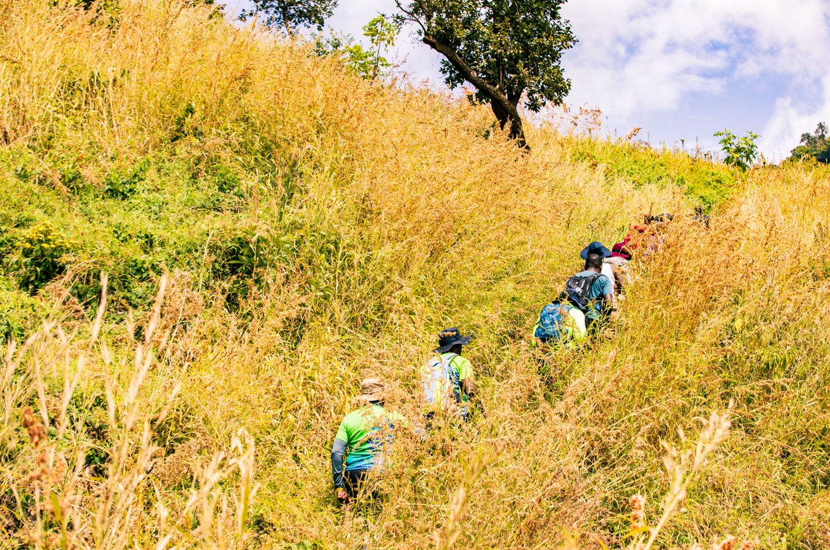 paceathletesC1's tweet image. When you see this - just know its the pace-hikers season featuring seasoned hikers and first timers.💃⛰️🏔️

#pace2MtMeru #pacewithme #TopNotch #pacersfamily