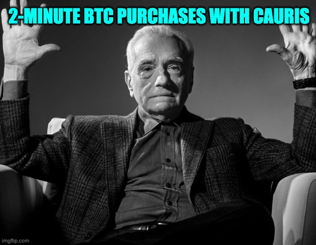 Buy the dip with Cauris Wallet