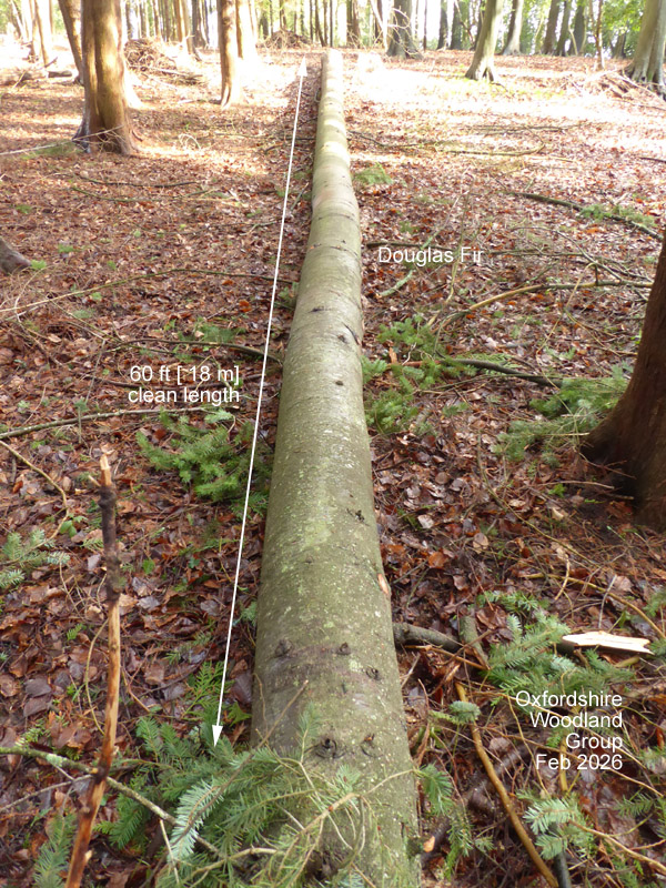 Oxfordshire Woodland Group tweet media