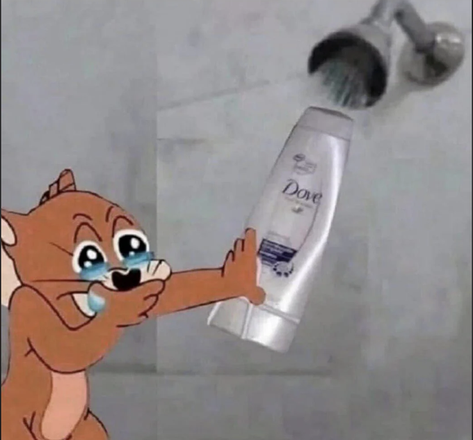 #ETH #BTC #Altseason 

"After this cycle i'm gonna buy a house, car and finally live my own life " 
Me right now: