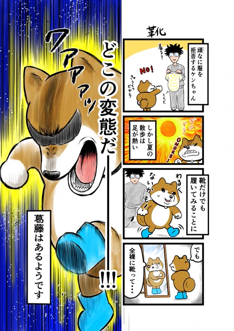 こんばんは!🌝
本日のケンちゃんです♪🐶♪
応援いただけたら嬉しいです☺️
 
#ケンちゃん
#話す犬 