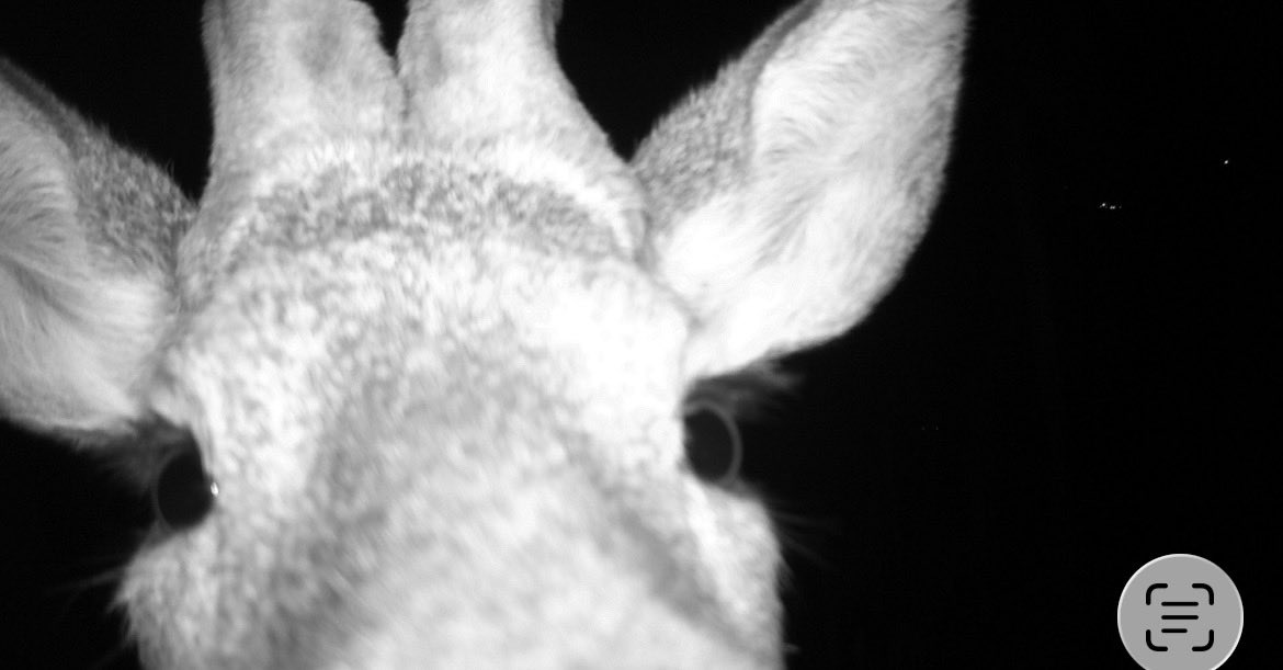 Jetze Genee tweet media