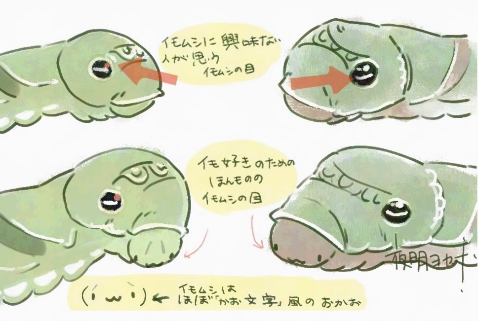 もしかしてむしのかわいさ発信するウェーブ来てる？と思って描いた
#いもむしを愛でる会