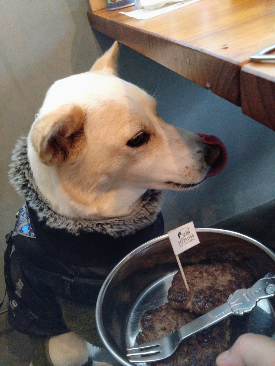 やっっっと我が家の感染リレーが終息
（コロナ、インフルでグチャグチャ）
待ちに待った店内飲食💓
今日のパテはダブルだよ🩷
週末はマルシェを楽しもう🎵🎵