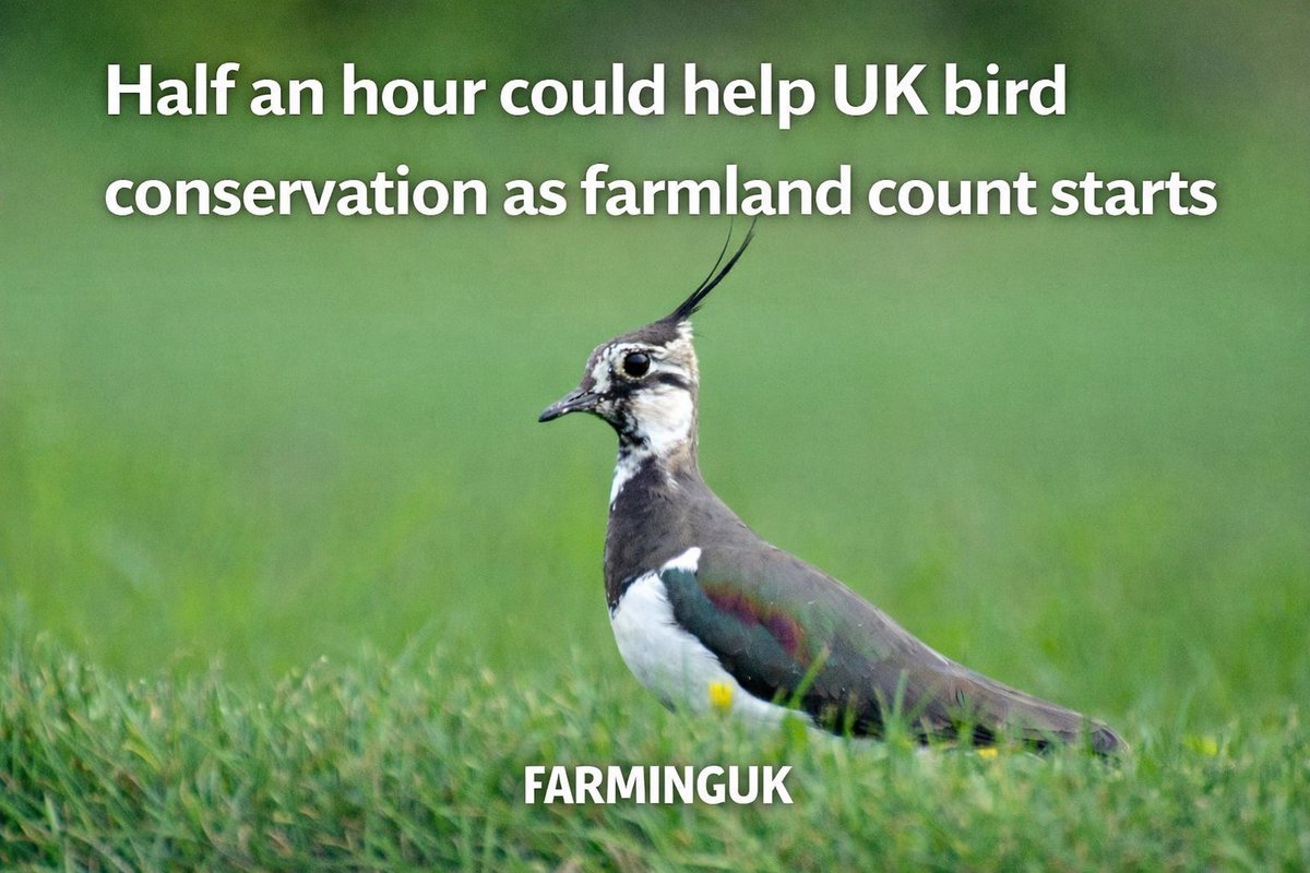 FarmingUK's tweet photo. 🐦 The Big Farmland Bird Count starts tomorrow (6 February). Farmers are being urged to spend just 30 minutes recording bird sightings to help track the health of UK farmland birds

READ MORE: https://t.co/1W07gJR2z8 https://t.co/V5nVIJlOsr