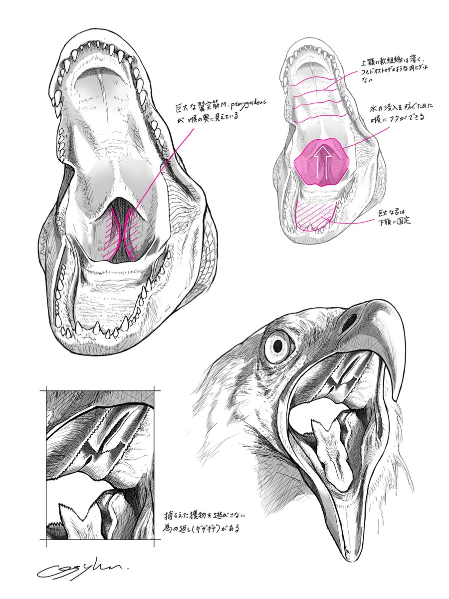 くまっち (@kumacchi4649) / Posts / X