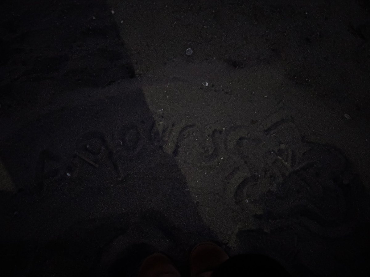 WizzyLizzy tweet media