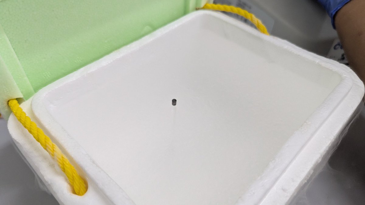 ARv671yNaKLyzQc's tweet image. 茶柱みたいだろ？
受精卵のガラス化凍結保存用デバイスなんだぜ。

#受精卵
#ガラス化凍結
#vetta