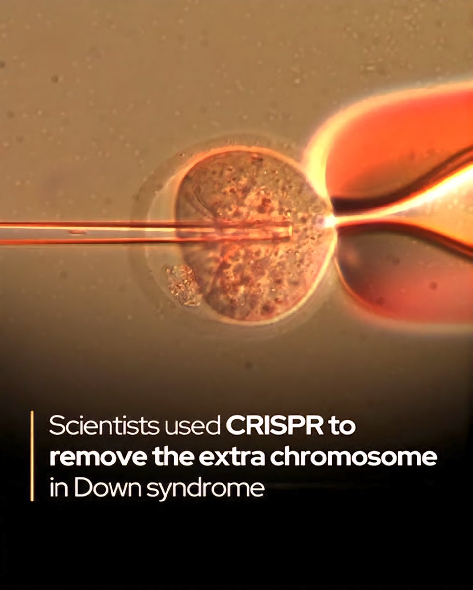 mrhighfoster's tweet image. Japan scientists used CRISPR to remove the extra chromosome in Down syndrome 🇯🇵